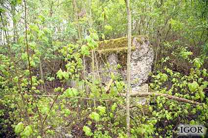 [Dzie�o piechoty Miodu�skie]