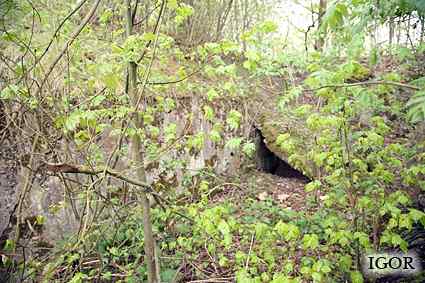 [Dzie�o piechoty Miodu�skie]