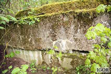 [Dzie�o piechoty Miodu�skie]