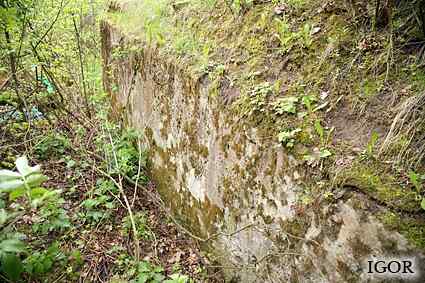 [Dzie�o piechoty Miodu�skie]