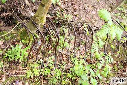 [Dzie�o piechoty Miodu�skie]